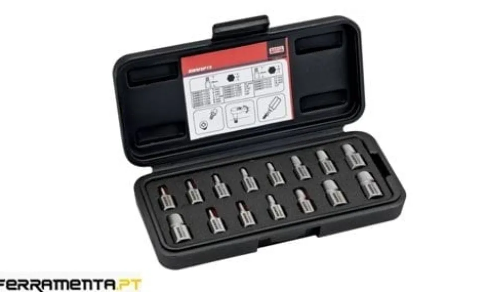 Conjunto de Bits de Extracção de Parafusos Bahco BWMSP15
