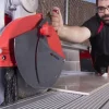 Cortador Elétrico DX-250 Plus 1000 Rubi 52900