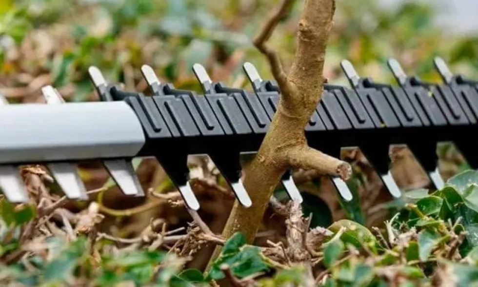 Corta-Sebes a Bateria GHE 18V-60 (II) Bosch 06008C9400