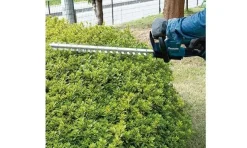 Corta-sebes BL 18V LXT 50cm Makita DUH506Z