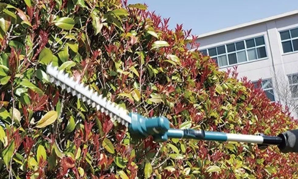 Cortasebes de Altura 460mm 18V LXT Makita DUN461WZ