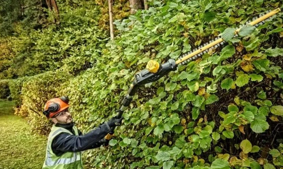 Corta-sebes Telescópico XR 18V Dewalt DCMPH566N