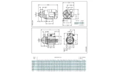 Electrobomba Periférica 0,5HP Monofásica Lowara PM 16 230V
