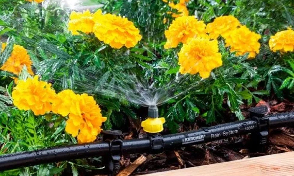 Karcher Bicos de Micropulverização 2.645-236.0