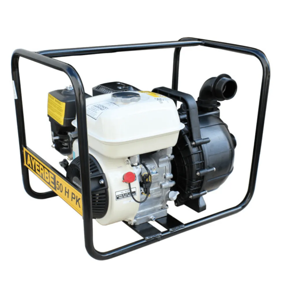 Motobomba Autoaspirante Líquidos Especiais AY-H 50 PK Ayerbe 5419330