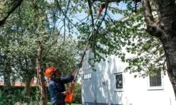Podadora Telescópica a Bateria 36V Husqvarna 970515904