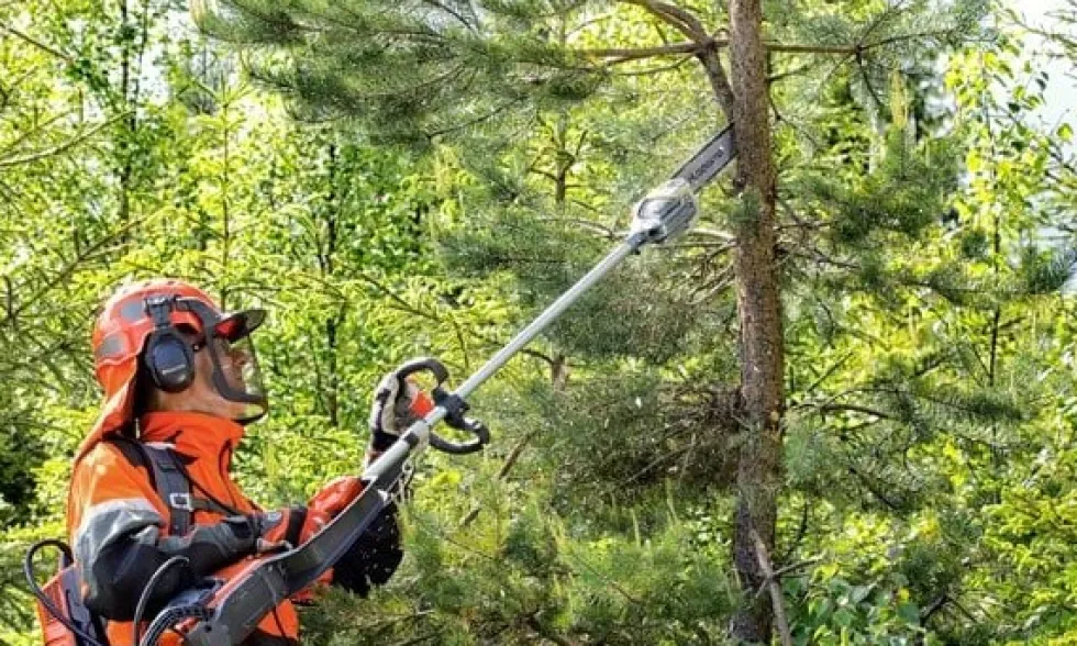 Podadora Telescópica a Bateria 36V 25cm Husqvarna 530iPX