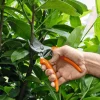 Tesoura de Poda PG20 Stihl 0000 881 3637