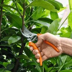 Tesoura de Poda PG20 Stihl 0000 881 3637